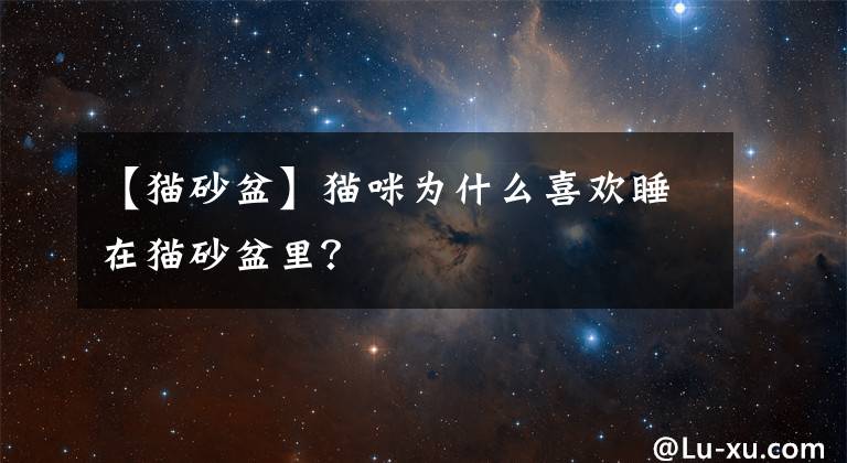 【貓砂盆】貓咪為什么喜歡睡在貓砂盆里？