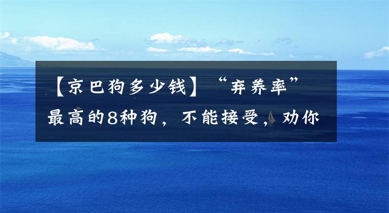 【京巴狗多少錢】“棄養(yǎng)率”最高的8種狗，不能接受，勸你別養(yǎng)