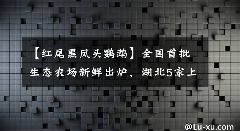 【紅尾黑鳳頭鸚鵡】全國首批生態(tài)農(nóng)場新鮮出爐，湖北5家上榜