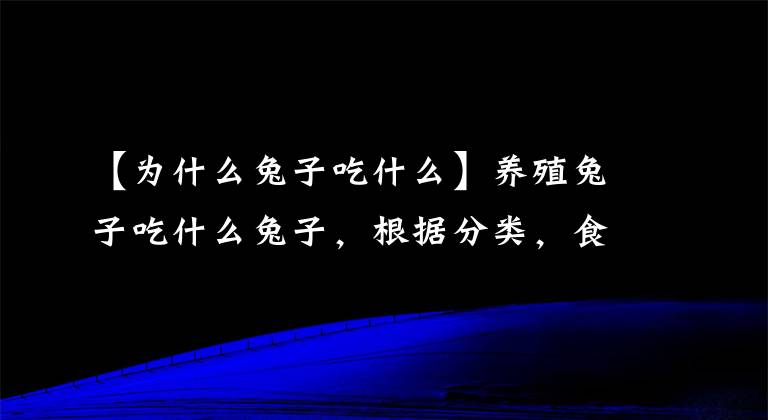 【為什么兔子吃什么】養(yǎng)殖兔子吃什么兔子，根據(jù)分類，食物也不同。