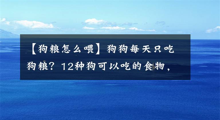 【狗糧怎么喂】狗狗每天只吃狗糧？12種狗可以吃的食物，給狗糧加點(diǎn)料吧