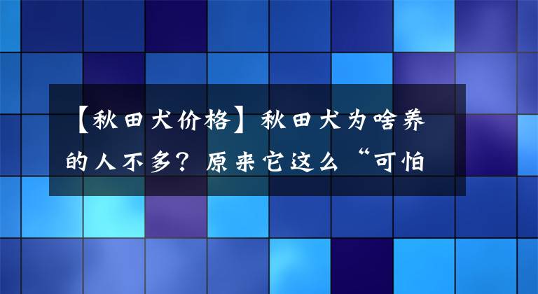 【秋田犬價格】秋田犬為啥養(yǎng)的人不多？原來它這么“可怕”