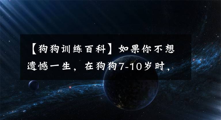 【狗狗訓(xùn)練百科】如果你不想遺憾一生，在狗狗7-10歲時，請把這5件事做好