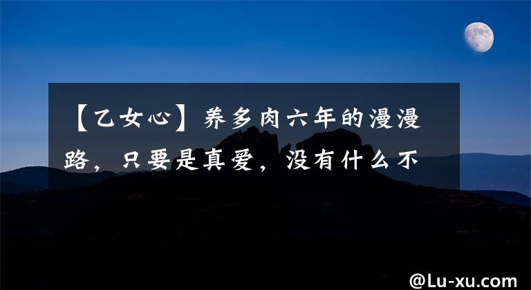 【乙女心】養(yǎng)多肉六年的漫漫路，只要是真愛(ài)，沒(méi)有什么不可能