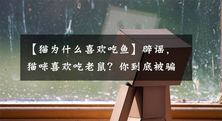 【貓為什么喜歡吃魚】辟謠，貓咪喜歡吃老鼠？你到底被騙了多久！