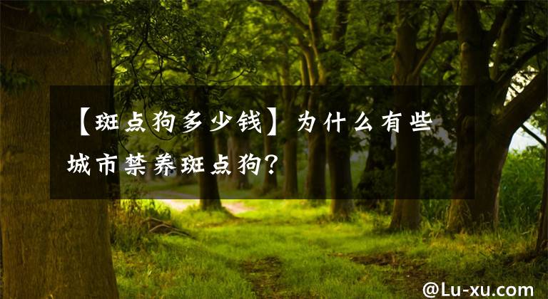 【斑點狗多少錢】為什么有些城市禁養(yǎng)斑點狗？