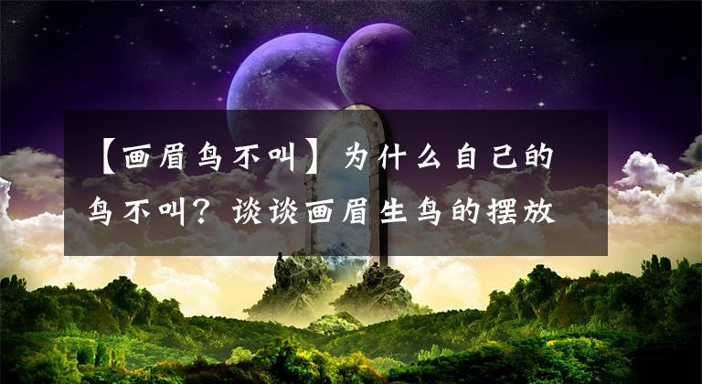 【畫眉鳥不叫】為什么自己的鳥不叫？談?wù)劗嬅忌B的擺放！