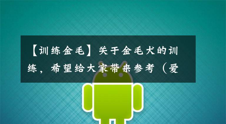 【訓練金毛】關于金毛犬的訓練，希望給大家?guī)韰⒖迹◥蹖櫛乜矗?></a></div> <div   id=