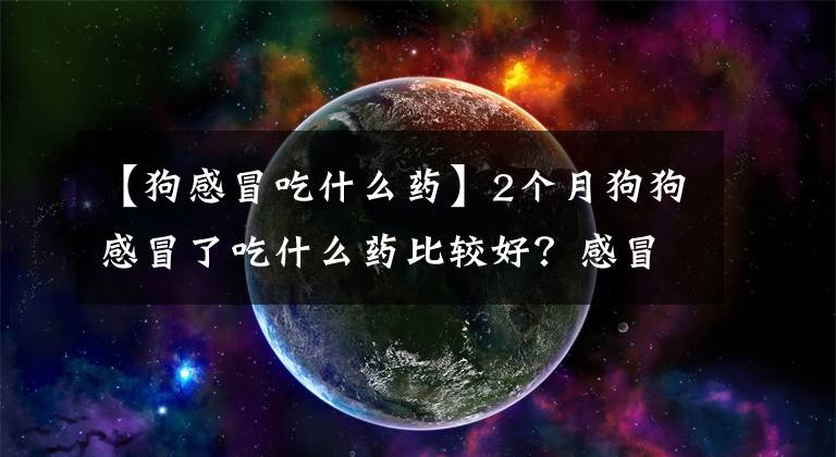 【狗感冒吃什么藥】2個月狗狗感冒了吃什么藥比較好？感冒癥狀可能是細小犬瘟嗎？