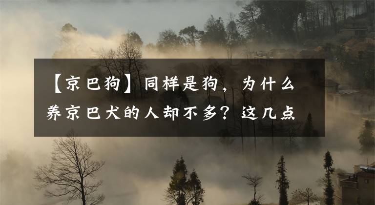 【京巴狗】同樣是狗，為什么養(yǎng)京巴犬的人卻不多？這幾點，可能你也討厭