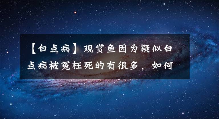 【白點病】觀賞魚因為疑似白點病被冤枉死的有很多，如何精確判斷？