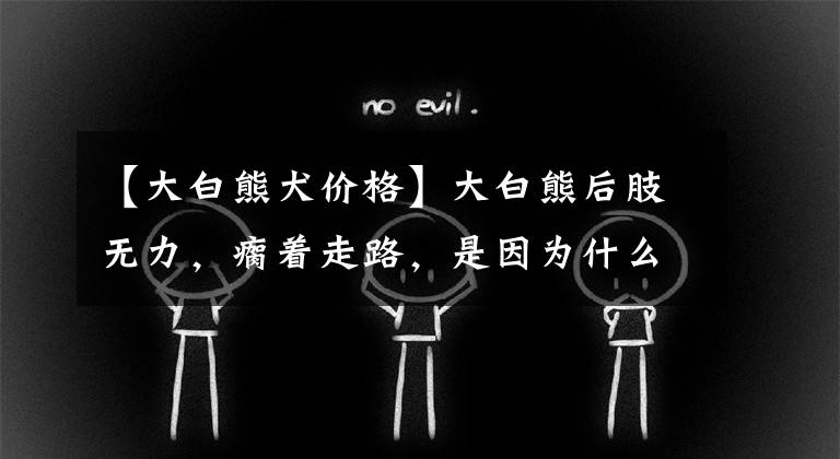 【大白熊犬價(jià)格】大白熊后肢無力，瘸著走路，是因?yàn)槭裁矗?></a></div> <div   id=