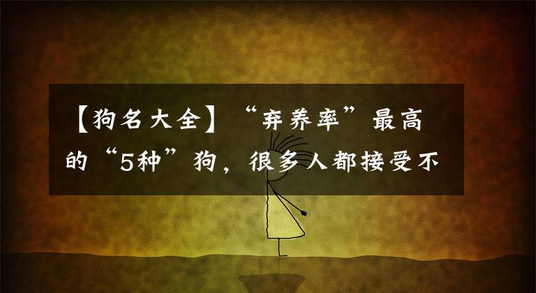 【狗名大全】“棄養(yǎng)率”最高的“5種”狗，很多人都接受不了