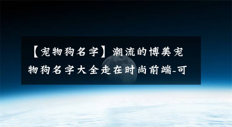 【寵物狗名字】潮流的博美寵物狗名字大全走在時尚前端-可愛點