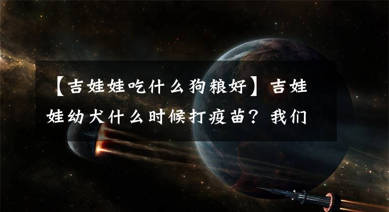 【吉娃娃吃什么狗糧好】吉娃娃幼犬什么時(shí)候打疫苗？我們應(yīng)該從哪方面去關(guān)注？該注意什么