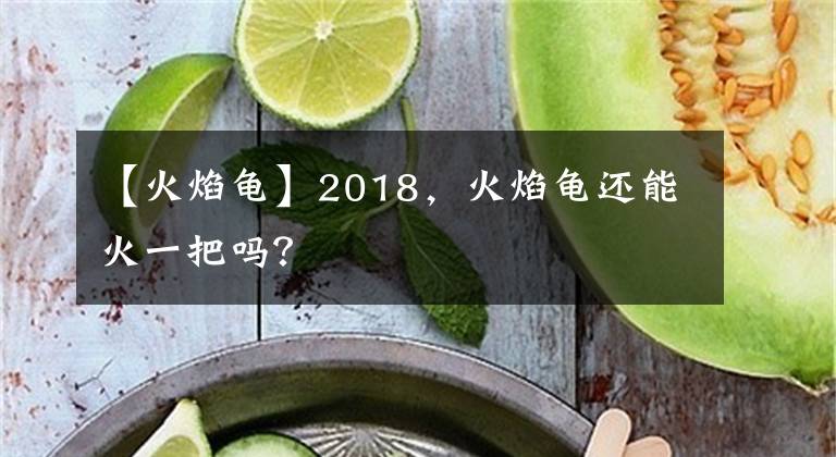 【火焰龜】2018，火焰龜還能火一把嗎？