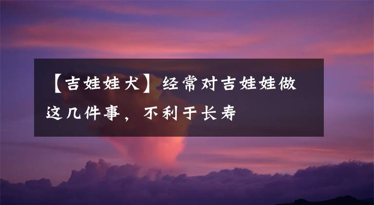 【吉娃娃犬】經(jīng)常對(duì)吉娃娃做這幾件事，不利于長(zhǎng)壽