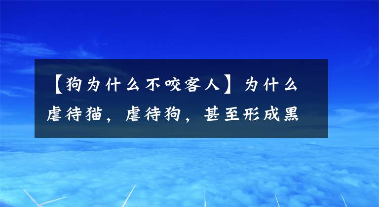 【狗為什么不咬客人】為什么虐待貓，虐待狗，甚至形成黑色產(chǎn)業(yè)鏈？