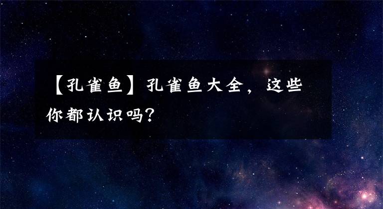 【孔雀魚】孔雀魚大全，這些你都認(rèn)識嗎？