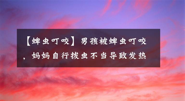 【蜱蟲(chóng)叮咬】男孩被蜱蟲(chóng)叮咬，媽媽自行拔蟲(chóng)不當(dāng)導(dǎo)致發(fā)熱生病