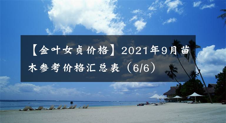 【金葉女貞價(jià)格】2021年9月苗木參考價(jià)格匯總表（6/6）