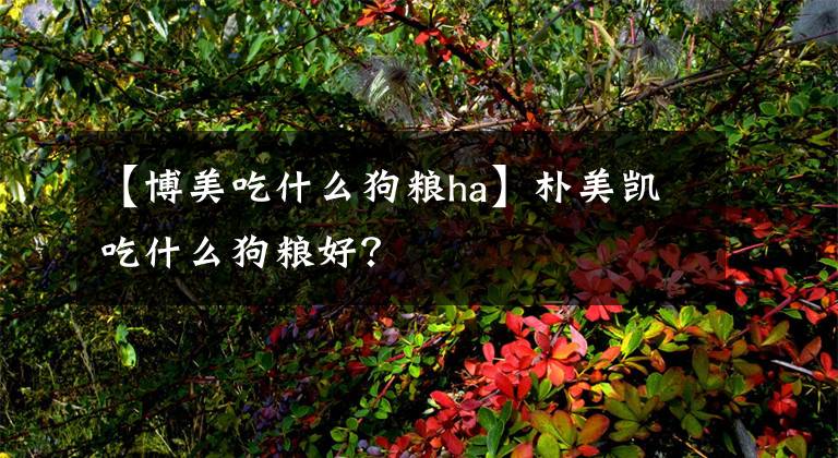 【博美吃什么狗糧ha】樸美凱吃什么狗糧好？