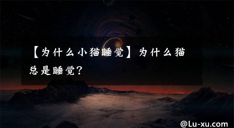 【為什么小貓睡覺】為什么貓總是睡覺？