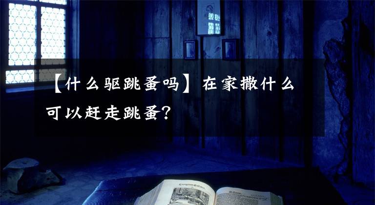 【什么驅(qū)跳蚤嗎】在家撒什么可以趕走跳蚤？