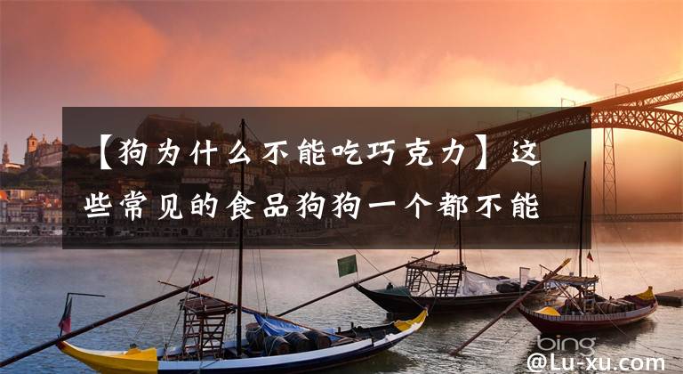 【狗為什么不能吃巧克力】這些常見的食品狗狗一個都不能碰，嚴重的可以導致狗狗死亡