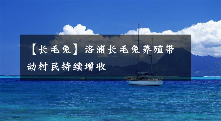 【長毛兔】洛浦長毛兔養(yǎng)殖帶動(dòng)村民持續(xù)增收