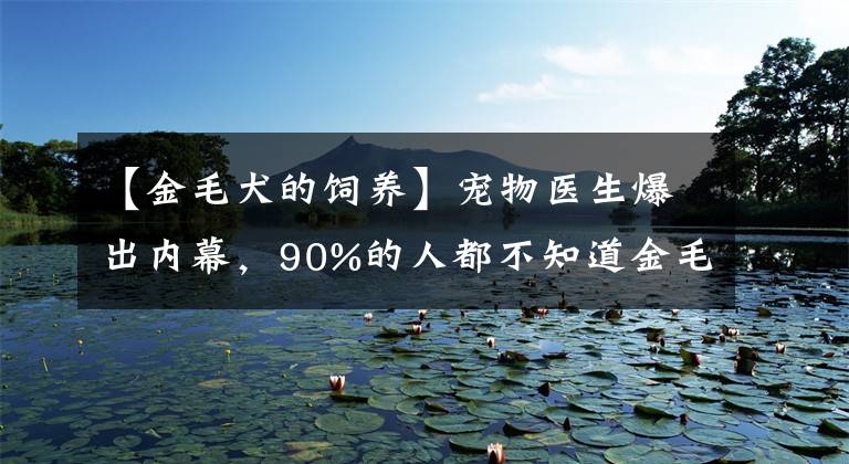 【金毛犬的飼養(yǎng)】寵物醫(yī)生爆出內(nèi)幕，90%的人都不知道金毛犬該怎么飼養(yǎng)