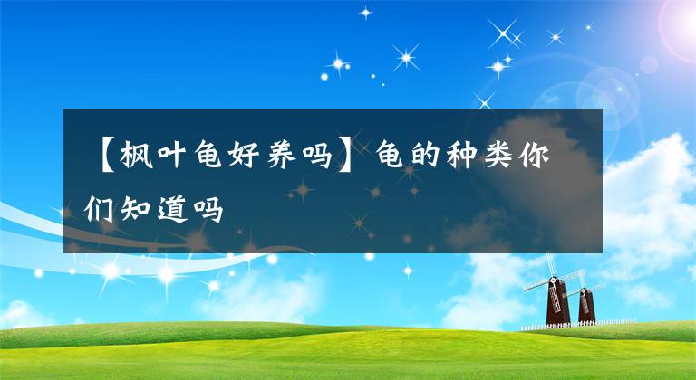 【楓葉龜好養(yǎng)嗎】龜?shù)姆N類你們知道嗎