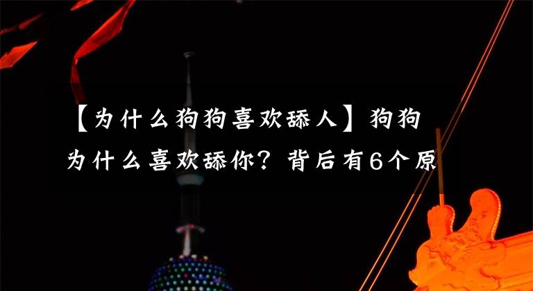 【為什么狗狗喜歡舔人】狗狗為什么喜歡舔你？背后有6個(gè)原因，抱抱它吧