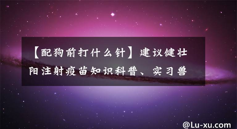 【配狗前打什么針】建議健壯陽注射疫苗知識科普、實習(xí)獸醫(yī)、醫(yī)生助手、寵主們關(guān)注所長。