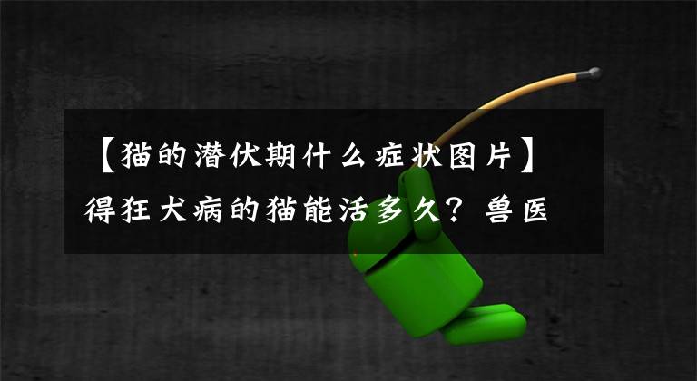 【貓的潛伏期什么癥狀圖片】得狂犬病的貓能活多久？獸醫(yī)：潛伏期3個月，發(fā)作最多10天