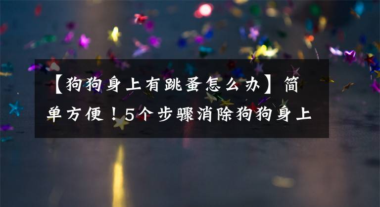 【狗狗身上有跳蚤怎么辦】簡(jiǎn)單方便！5個(gè)步驟消除狗狗身上的跳蚤