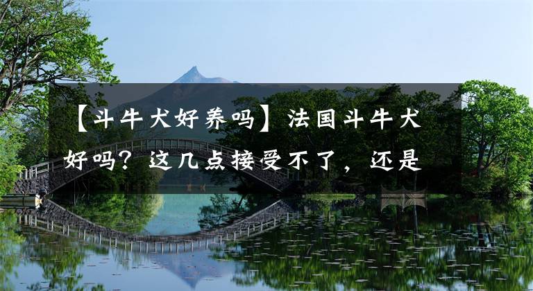 【斗牛犬好養(yǎng)嗎】法國斗牛犬好嗎？這幾點(diǎn)接受不了，還是別養(yǎng)吧