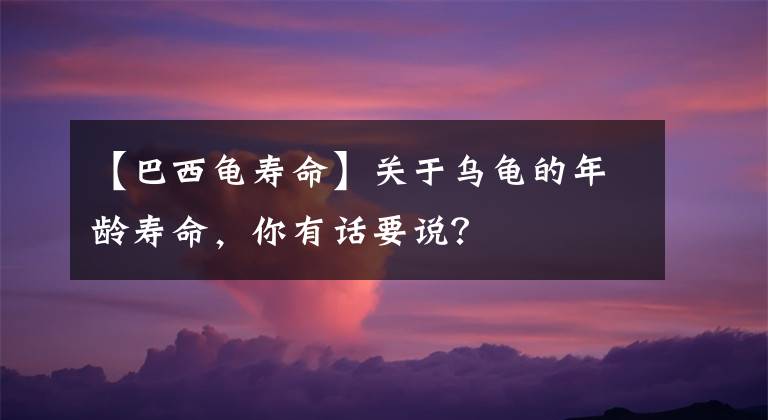 【巴西龜壽命】關(guān)于烏龜?shù)哪挲g壽命，你有話要說？