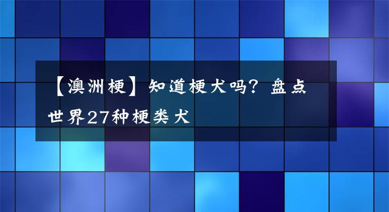 【澳洲?！恐拦Ｈ畣幔勘P(pán)點(diǎn)世界27種梗類(lèi)犬