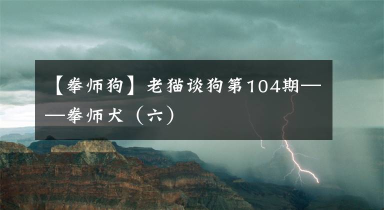 【拳師狗】老貓談狗第104期——拳師犬（六）