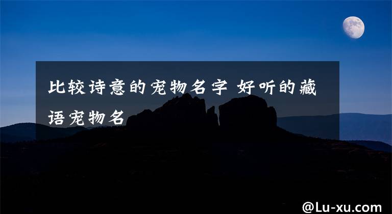 比較詩(shī)意的寵物名字 好聽(tīng)的藏語(yǔ)寵物名