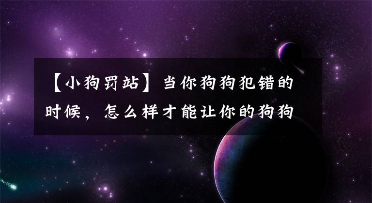 【小狗罰站】當(dāng)你狗狗犯錯(cuò)的時(shí)候，怎么樣才能讓你的狗狗罰站？