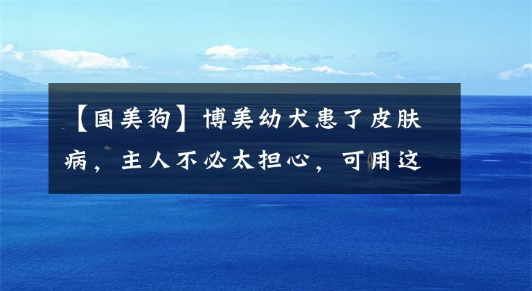 【國(guó)美狗】博美幼犬患了皮膚病，主人不必太擔(dān)心，可用這些方法來(lái)改善和解決