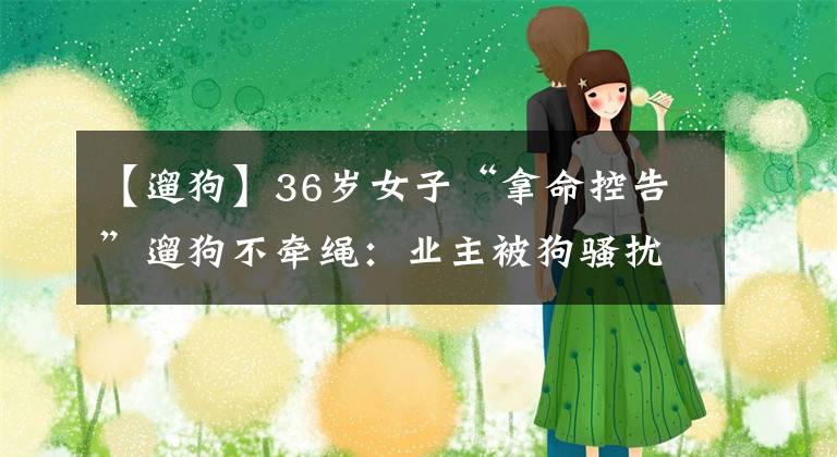 【遛狗】36歲女子“拿命控告”遛狗不牽繩：業(yè)主被狗騷擾、被狗主人欺負，物業(yè)不管嗎？沒有規(guī)章制度約束嗎？