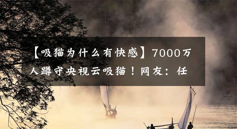 【吸貓為什么有快感】7000萬(wàn)人蹲守央視云吸貓！網(wǎng)友：任何人都不能統(tǒng)治世界，但貓可以