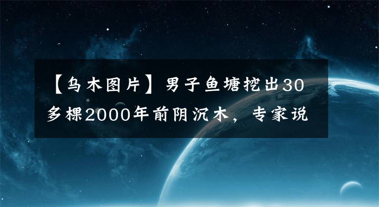 【烏木圖片】男子魚塘挖出30多棵2000年前陰沉木，專家說(shuō)，價(jià)格目前無(wú)法估量