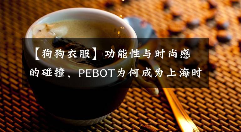 【狗狗衣服】功能性與時(shí)尚感的碰撞，PEBOT為何成為上海時(shí)裝周最熱寵物衣服？