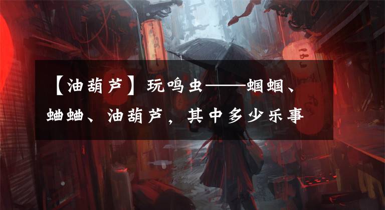 【油葫蘆】玩鳴蟲——蟈蟈、蛐蛐、油葫蘆，其中多少樂事