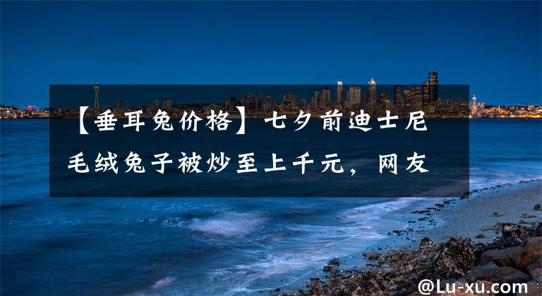 【垂耳兔價(jià)格】七夕前迪士尼毛絨兔子被炒至上千元，網(wǎng)友：一邊罵罵咧咧一邊火速購入