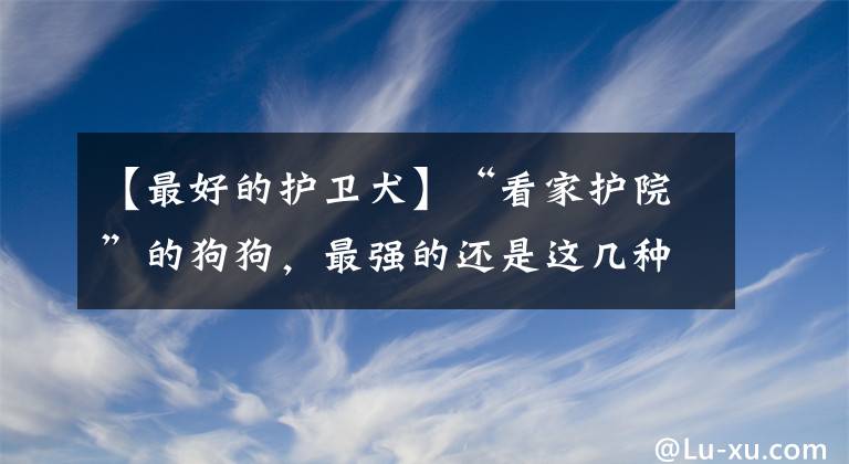 【最好的護(hù)衛(wèi)犬】“看家護(hù)院”的狗狗，最強的還是這幾種